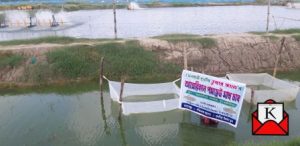 fish-farming-in-west-bengal