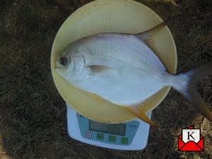 west-bengal-new-fish-farming