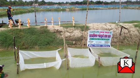 Fisheries Dept Introduce New Fish in West Bengal Through Vannamei Shrimp Farmers