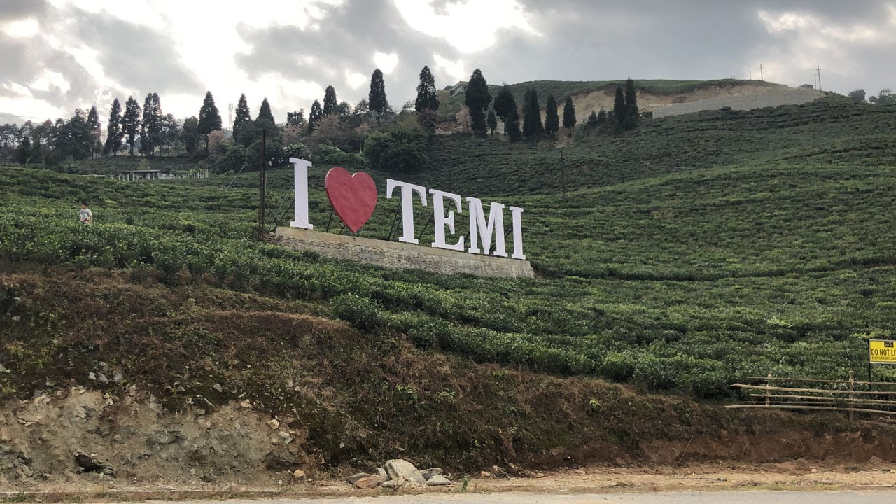 The Temi Autumn Festival 2019 to Continue Till 10th November