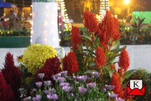 kolkata-best-flower-show