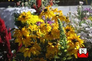 kolkata-best-flower-show