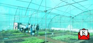 biotech-kisan-hub-gujarat