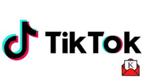 tiktok-users-in-india