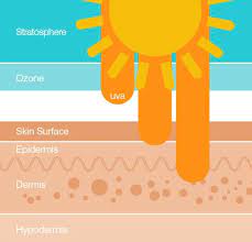 How To Prevent Harmful Effects Of UV Rays On Skin?