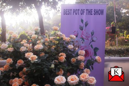 Kolkata-best-flower-show