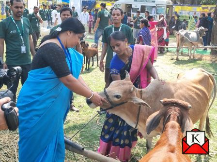 One Lakh Cattle Receives Great Treatment At 6th Pashu Vikas Day