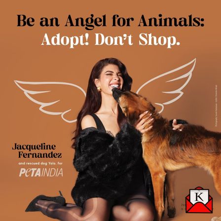 PETA-Campaign