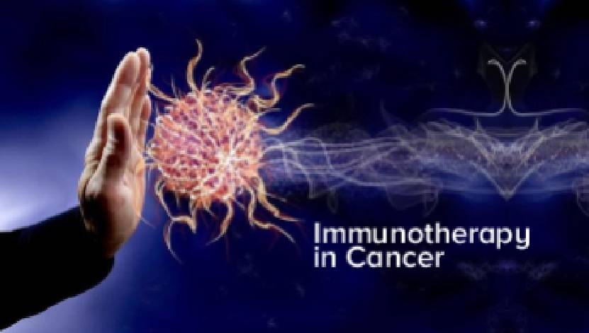 Immunotherapy Unlocks New Frontiers For Treating Cervical Cancer