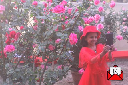 A Beautiful Start To The New Year With The All India Rose Show