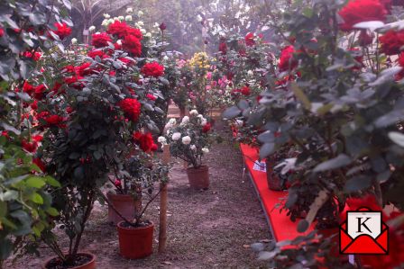Kolkata-rose-show