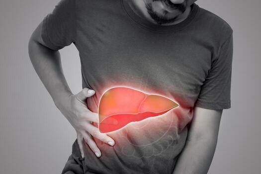 Liver
