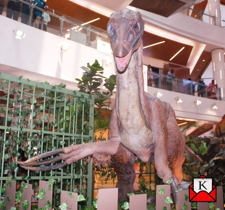South-City-Mall