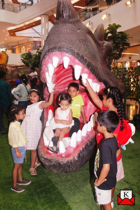 South-City-Mall