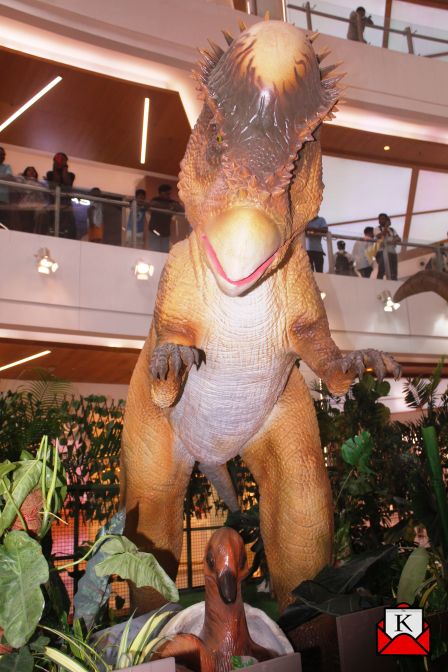 South-City-Mall