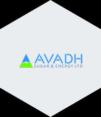 Avadh Sugar & Energy Reports Q4 & FY26 Results