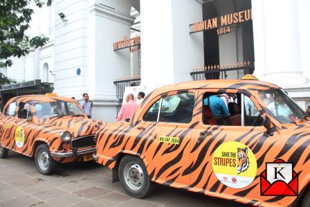 Tiger-Taxis Tiger-Conservation-Program