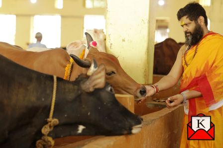Rakhi-2026