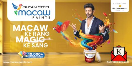 Macaw-Paints-New-TVC