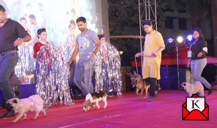 Retro To Metro Themed Dog Fashion Walk Organized in Kolkata