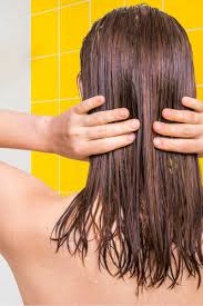 Guest Blog- How To Protect Your Hair From The Drying Effects of Shampoos?