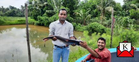 Artificial Breeding Of Endangered Native Pangasius In Haldia
