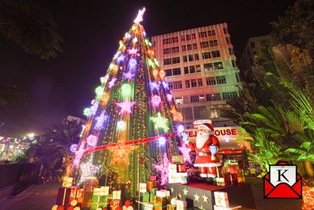 Tallest Christmas Tree Of Kolkata At Apeejay House