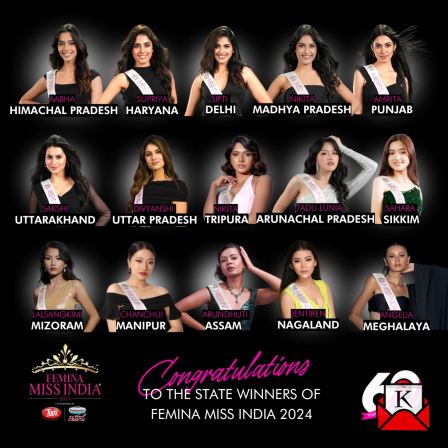 Complete List Of Femina Miss India 2024 State Winners