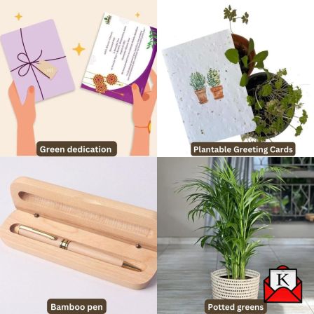 Excellent Eco-Friendly Gift Options For Your Teachers