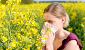 How To Prevent Spring Allergies? Details Inside