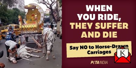 New PETA India Billboard Campaign Shows Suffering Of Horses