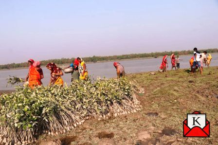 Hariyali- A Special Step Towards Empowering The Sundarbans