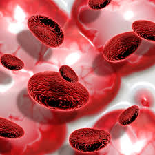 The Great Importance Of Premarital Screening For Thalassaemia