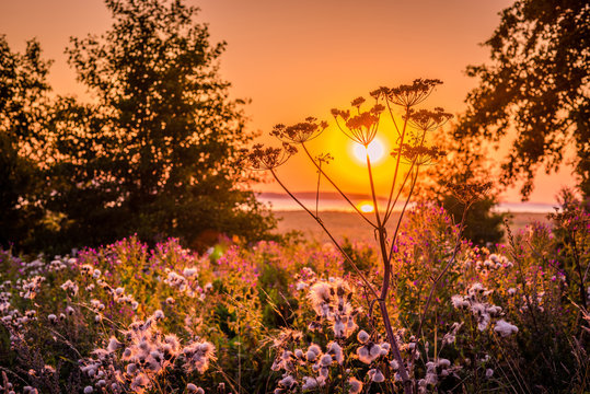 Simple Steps To Help You Cool During The Hot Summer