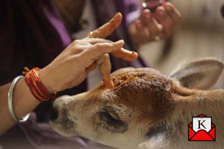 A Great Blend Of Tradition & Science Helped Save Many Lives